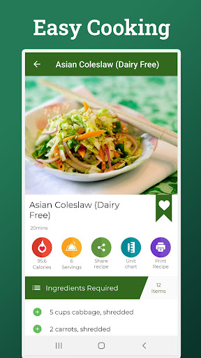 Diet Recipes